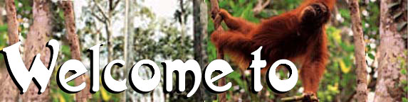 welcome to borneo