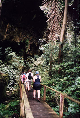 mouth of deer cave