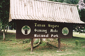 Mulu NP