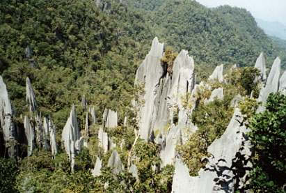 the Pinnacles